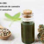 Nouvelle Découverte : Tout ce que vous Devez Savoir sur les Molécules H4CBD